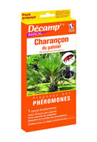 Phéromone charançon rouge du palmier Rhynchophorus ferrugineus DECAMP
