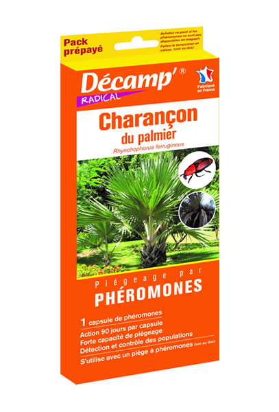 Phéromone charançon rouge du palmier Rhynchophorus ferrugineus DECAMP