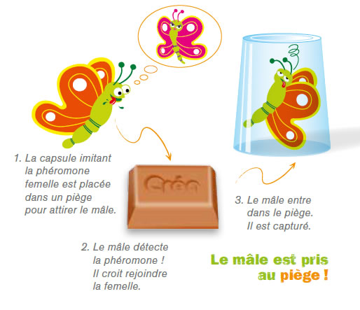 Phéromones piéges DECAMP