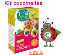 Kit coccinelles