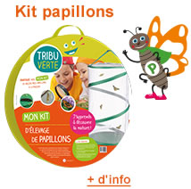 Kit papillons