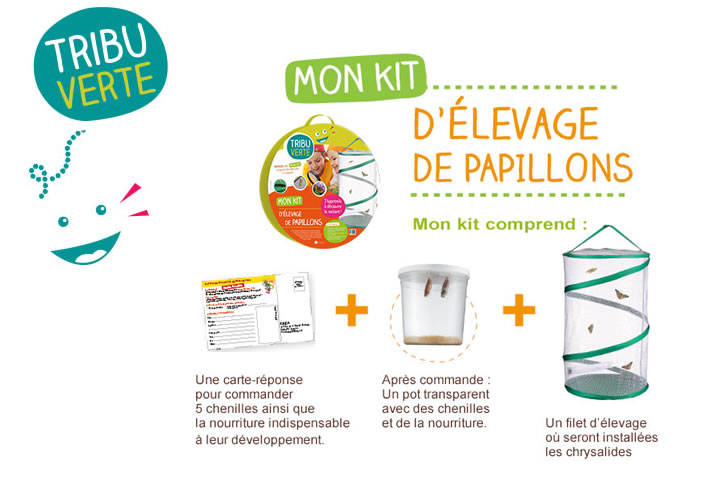 Mon kit d'élevage de papillons