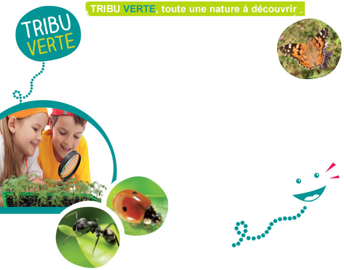 tribu verte toute une nature à découvrir